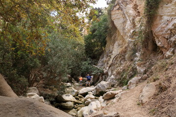 view on Avakas Gorge with steep rocks and river on bottom. Akamas peninsula, Cyprus.