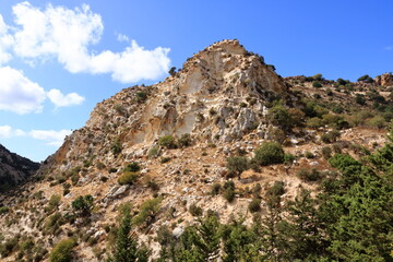 Fototapeta na wymiar view on Avakas Gorge with steep rocks and river on bottom. Akamas peninsula, Cyprus.