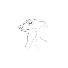 SINGLE-LINE DRAWING OF A HOUND DOG. This is a hand-drawn, continuous, line illustration. Each gesture sketch was created by hand.
