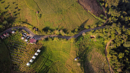 An aerial view of a green-yellow rice field with a road running in the middle of Thailand.