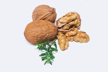 open walnut and group of walnuts isolated on white