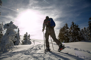 Skiwanderer im Schwarzwald