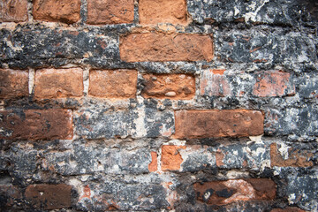 Brick wall texture
