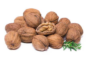 group of walnuts isolated on white