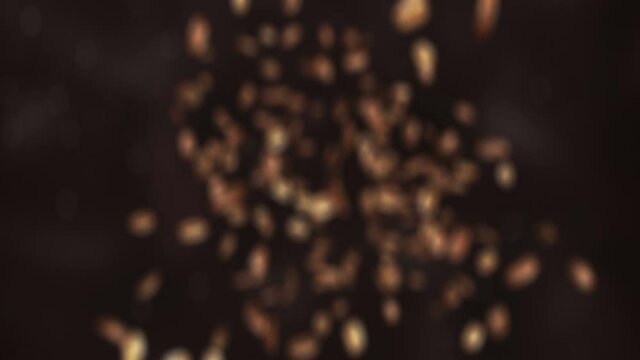 Roasted coffee beans jumping in super slow motion in 4K