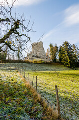 Pfeffingen, Ruine, Burg, Burganlage, Aesch, Duggingen, Laufental, Birseck, Klus, Baselland, Wanderweg, Aussichtspunkt, Winter, Morgensonne, Wintertag, Schweiz, Nordwestschweiz