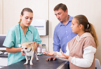 Female veterinarian examining puppy in clinic in presence of worried man and preteen girl. High quality photo