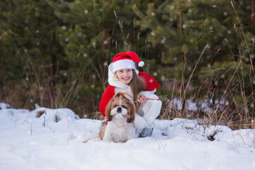 Shih Tzu dog in red Santa Claus hat with girl-owner in winter outdoors. A girl with a dog in a Santa hat on the background of a winter forest. Christmas.