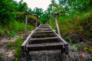 wooden stairs in the forest