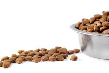 A plate of dog food on a white background. Food for dogs and cats