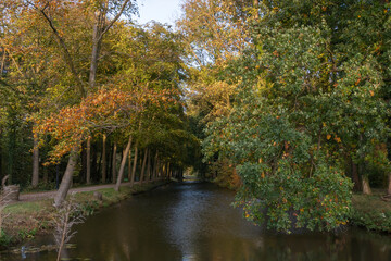 A ditch with overhanging trees in autumn colors near Linschoten