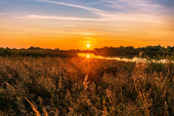 scenic view from reeds at a beautiful sunset. Reed cane grass on the front and orange sun glow with picrutesque sky on the background. Amazing evening landscape