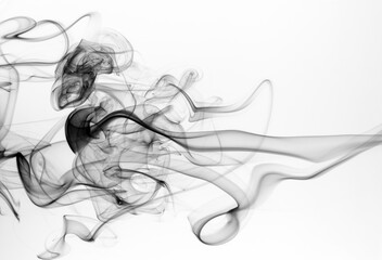 Black smoke abstract on white background, fire design