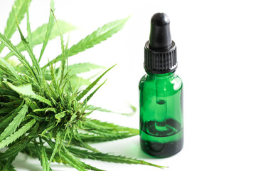 Cannabis plant and bottle with a CBD oil