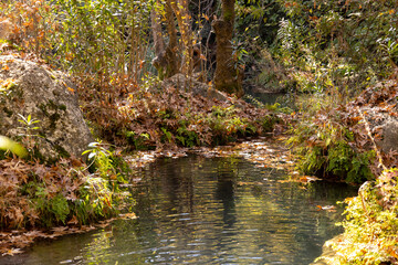 beautiful river in the nature