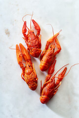 Top view of red crayfish