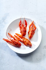 Top view of red crayfish