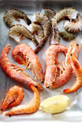 Flat lay with prawns