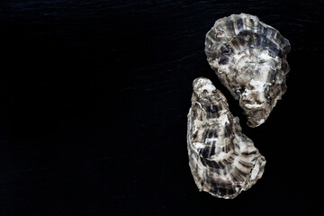 Food background. Fresh closed oysters on a black stone plate. Top view with copy space.
