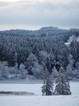 Winter im Oberallg&auml;u