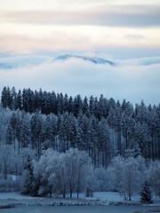 Winter im Oberallgäu