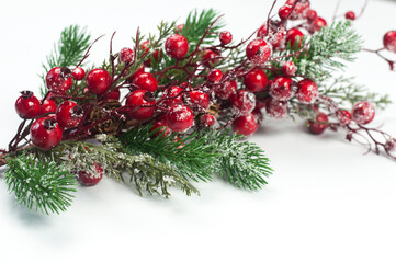 Fototapeta na wymiar Spruce branch on a white background. New Year Christmas card.