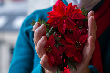 senior woman with disposable surgical mask placing christmas decorations with poinsettias at christmas