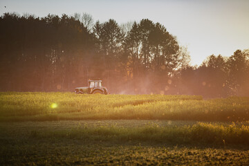 Fototapeta premium Automne, tracteur procédant au fauchage de plantes fourragères agricoles, moutarde mais cela équivaut à du ray grass