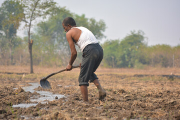 Indian farmer working in agriculture field