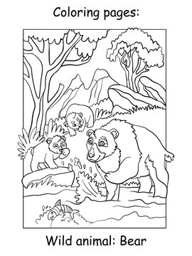 Children coloring book page bears vector illustration