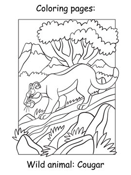Children coloring book page cougar vector illustration
