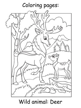 Children coloring book page deers vector illustration