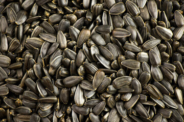 Sunflower seeds close-up and macro background
