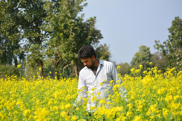 Fototapeta premium Young indian farmer at black mustard field