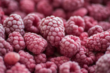 Ripe frozen raspberries close-up macro photography, selective focus, fruit background
