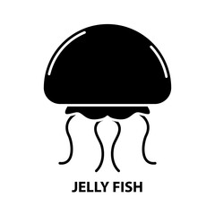 jelly fish icon, black vector sign with editable strokes, concept illustration