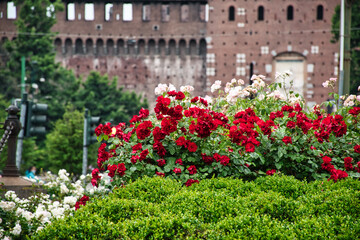Flowers under the Giuseppe Garibaldi monument at Largo Cairoli square in front of Sforza Castle