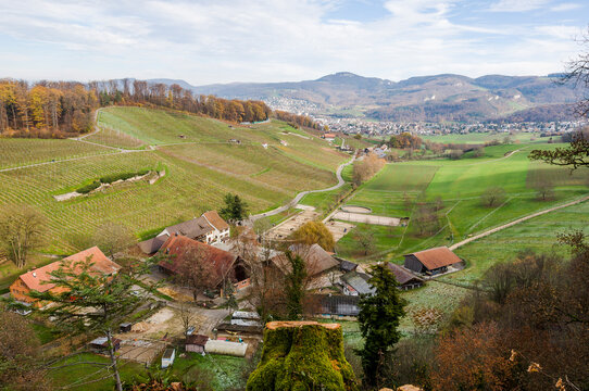 Aesch, Klus, Weinberge, Rebbergweg, Pfeffingen, Ruine, Burg, Laufental, Birseck, Baselland, Wanderweg, Aussichtspunkt, Landwirtschaft, Winter, Schweiz, Nordwestschweiz