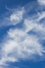 Obraz premium cirrus clouds with a blue sky background.ice crystals. religion