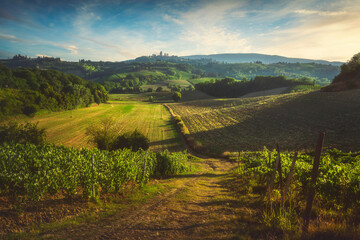 Panoramic view of chianti and vernaccia vineyards. San Gimignano. Tuscany, Italy - obrazy, fototapety, plakaty