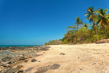 Beautiful wild tropical sandy beach with a rocky shore and coconut palms