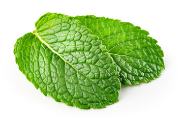 Mint leaf. Fresh mint on white background. Mint leaves isolated. With clipping path.