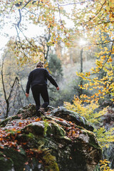 Fototapeta premium Ascension en forêt 