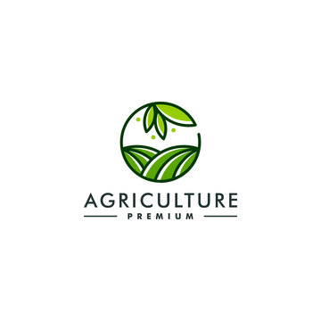Agriculture logo design template. Farm icon symbol logotype vector