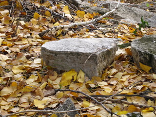 A large flat stone among yellow fallen leaves