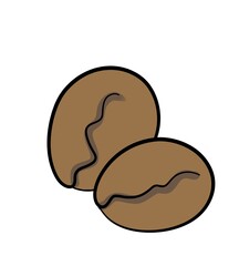 coffee beans on a white background. chocolate cookie. illustration of two brownish coffee bean image on white background for logos, symbols, icons