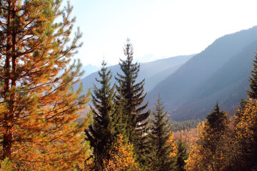 autumn in the mountains