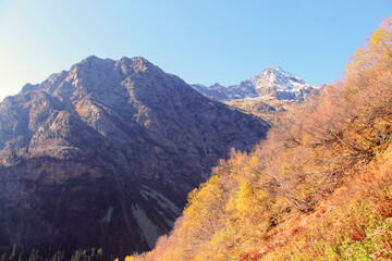 landscape in the mountains