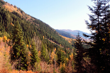 autumn in the mountains