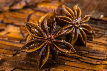 Sternanis in Nahaufnahme © Chris